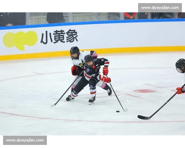 职业冰球赛的激烈对决与运动员背后的故事探索 - 副本